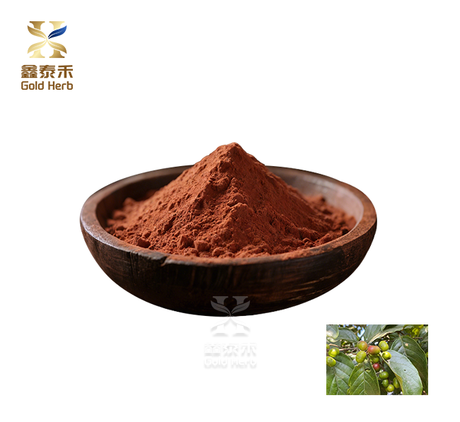 Pygeum Africanum Extract powder